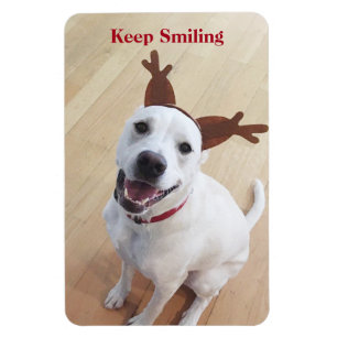 Magnet Flexible Chien blanc mignon Gardez le sourire encourageant 