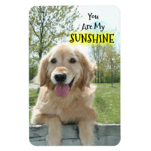 Magnet Flexible Chien de golden retriever sur la barrière vous