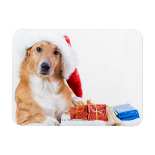 Magnet Flexible Chien de Noël avec des bois et des cadeaux colorés
