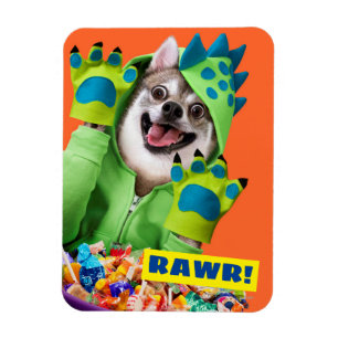 Magnet Flexible Chien en en costume de dinosaure