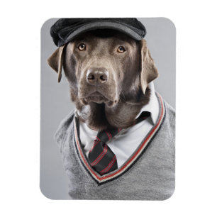 Magnet Flexible Chien en pull et casquette