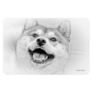 Magnet Flexible Chien Shiba Inu souriant