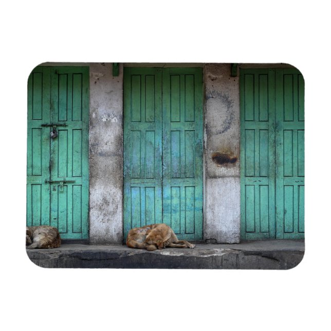 Magnet Flexible Chiens errants devant les portes rectangle magnéti (Horizontal)