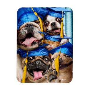 Magnet Flexible Chiens et chats diplômés en photomaton