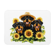Chiens Rottweiler Entourés De Tournesols