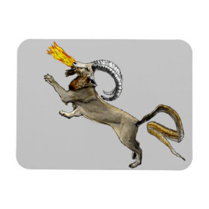 Magnet Flexible Chimera