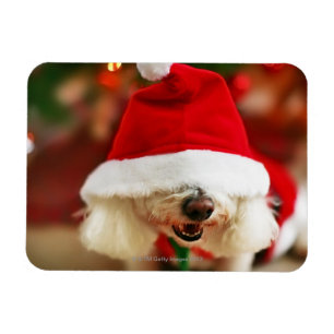 Magnet Flexible Chiot de Bichon Frise en costume Père Noël