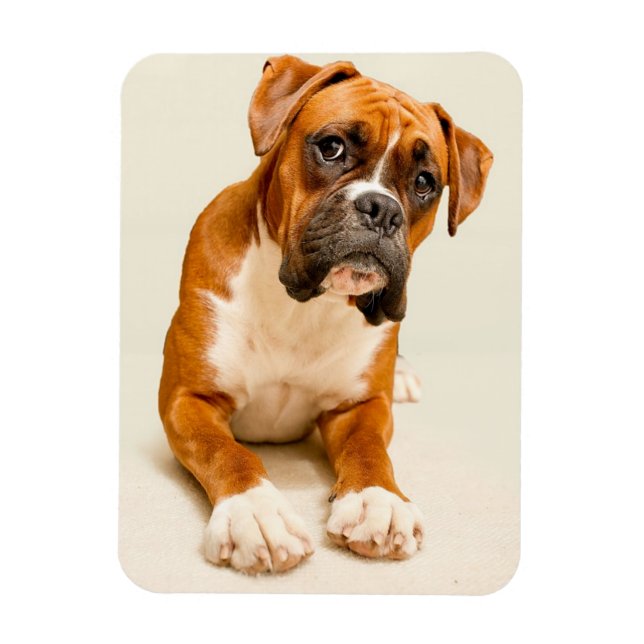 Magnet Flexible Chiot en boîte sur fond de crème ivoire. (Vertical)