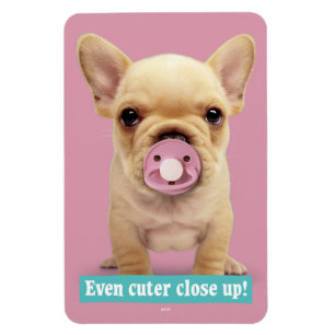 Magnet Flexible Chiot mignon avec Pacificateur