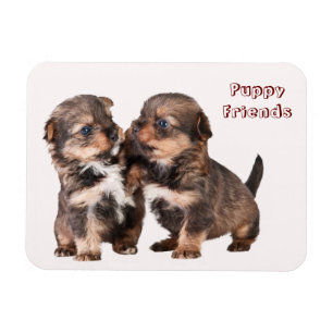 Magnet Flexible Chiots mignons de Yorkshire