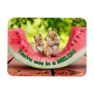 Magnet Flexible Chipmunks mangeant de la pastèque