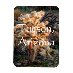 Magnet Flexible Cholla Tucson, Arizona
