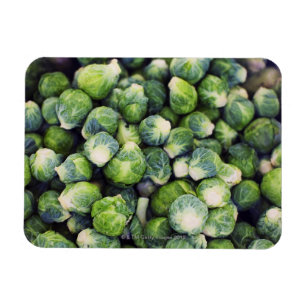 Magnet Flexible Choux de bruxelles frais vert clair