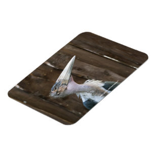 Magnet Flexible Cigogne marabou