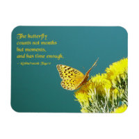 Citation de papillon