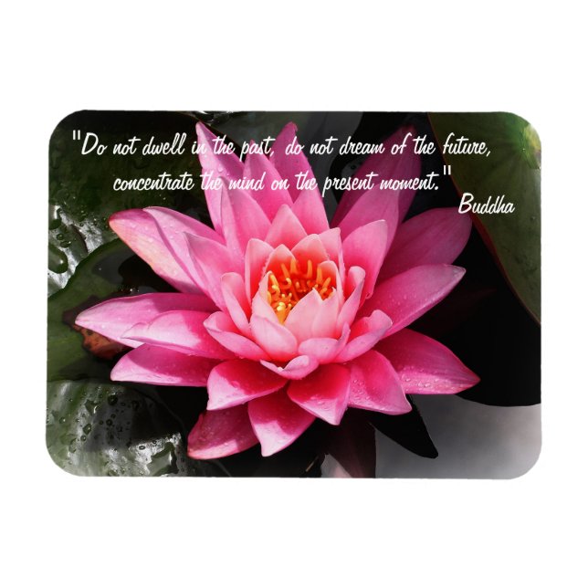 Magnet Flexible Citations de bouddha et fleurs de lotus / Méditati (Horizontal)