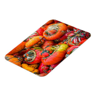Magnet Flexible Citrouille coloré