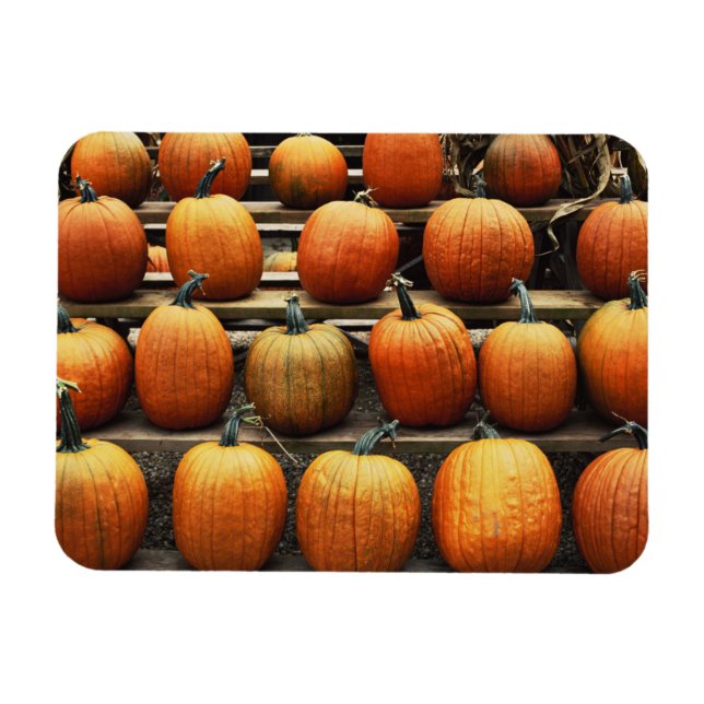 Magnet Flexible Citrouille d'automne (Horizontal)