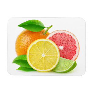 Magnet Flexible Citrus fruits