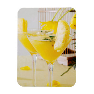Magnet Flexible Cocktail de Fresca à l'ananas et au gingembre