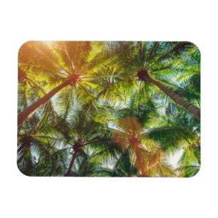 Magnet Flexible Cocotiers palmiers sur la plage