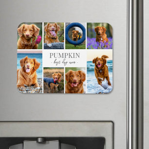 Magnet Flexible Collage de photos de chien simple