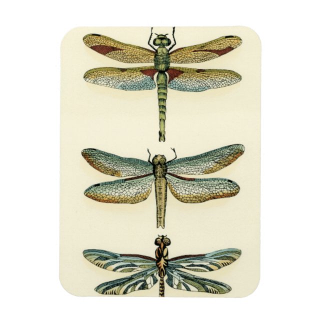 Magnet Flexible Collection de libellules par Chariklia Zarris (Vertical)
