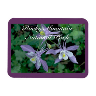 Magnet Flexible Columbine Rocky Mountain National Park