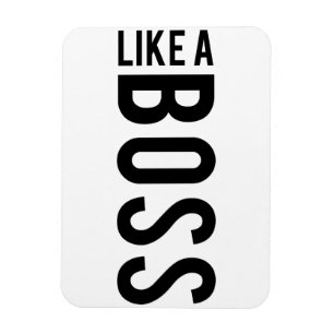 Magnet Flexible COMME un robot