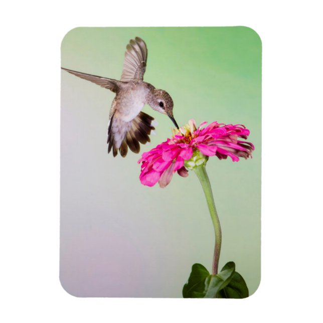 Magnet Flexible Comté de Jeff Davis, Texas (Vertical)