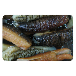 Magnet Flexible Concombre de mer ... Nourriture du marché du Yaowa