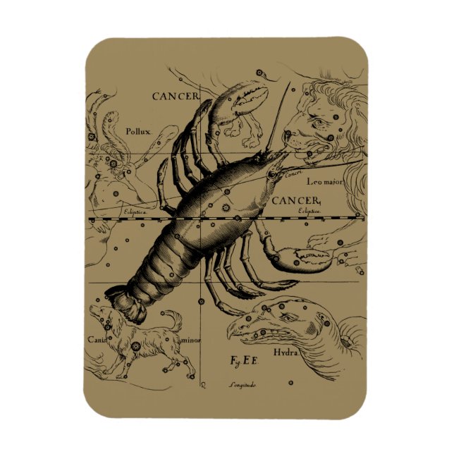 Magnet Flexible Constellation du cancer par Hevelius vers 1690 (Vertical)