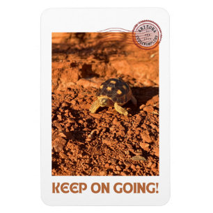 Magnet Flexible Continuer à aller Motivational coddiwompling Torto