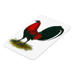 Magnet Flexible Coq de combat américain :  Brun Rouge