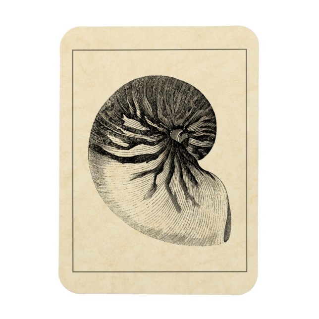 Magnet Flexible Coque conique vintage noire et blanche (Vertical)