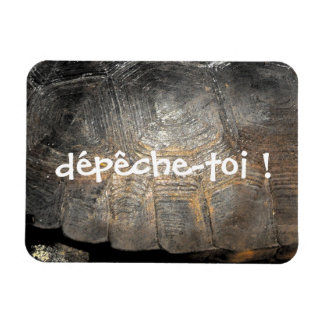 Magnet Flexible Coque de tortue Gopher