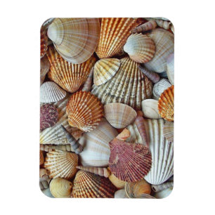 Magnet Flexible Coques de mer