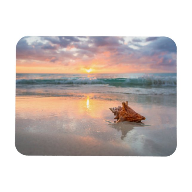 Magnet Flexible Coquille de conches sur la plage | Jamaïque (Horizontal)