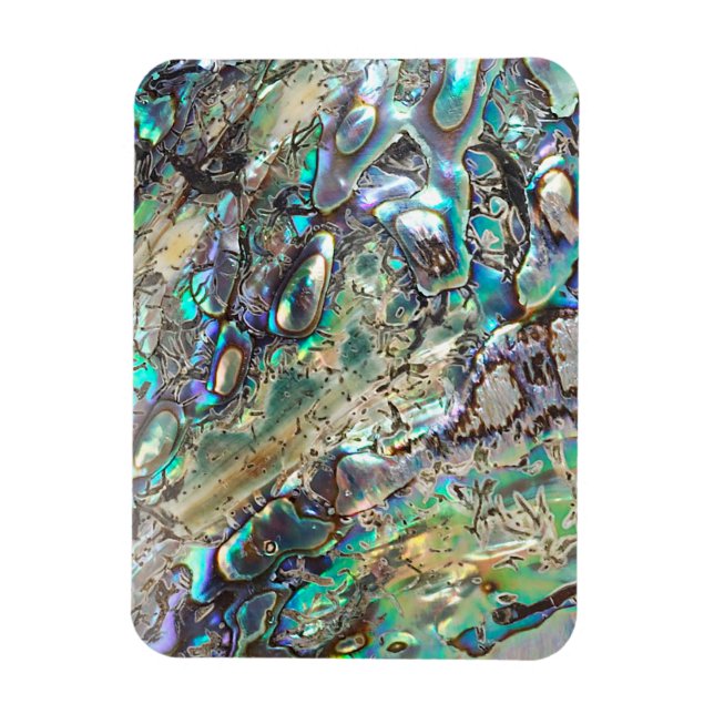 Magnet Flexible Coquille de la reine paua (Vertical)