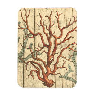 Magnet Flexible Corail en bois et petit