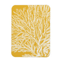 Corail jaune et blanc