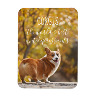 Magnet Flexible Corgis Le Meilleur Antidépresseur Au Monde