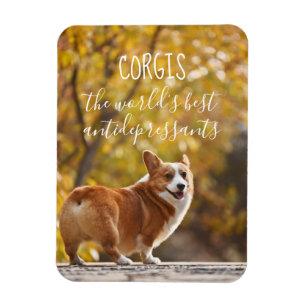 Magnet Flexible Corgis les meilleurs antidépresseur du monde