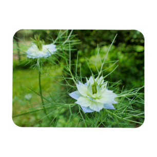 Magnet Flexible Corne