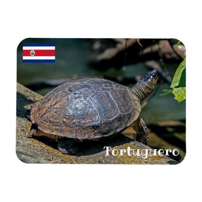 Magnet Flexible Costa Rica, Tortuguero - Tortue (Horizontal)