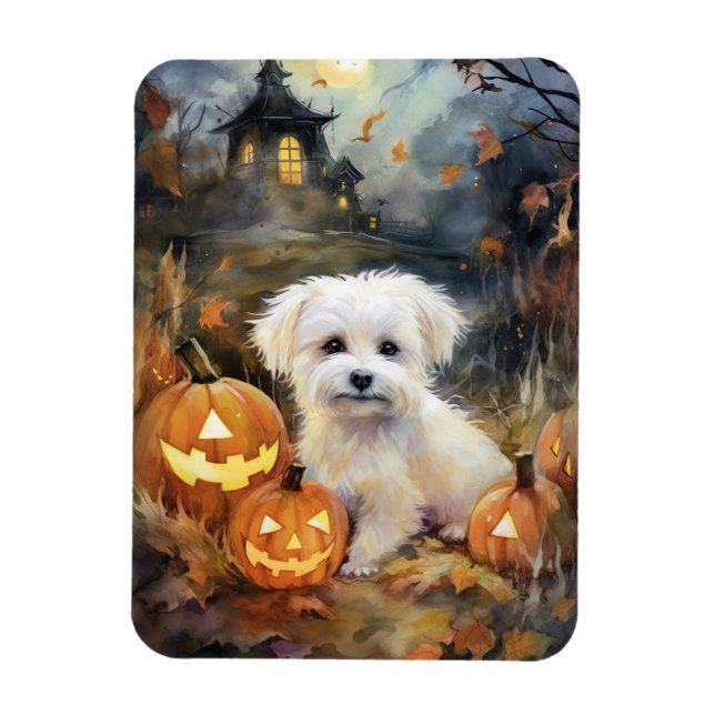 Magnet Flexible Coton De Tulear Halloween Avec Peur Citrouille (Vertical)