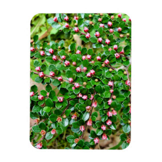 Magnet Flexible Cotonou horizontalis