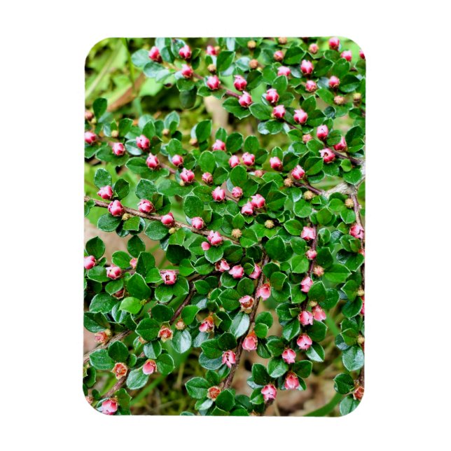 Magnet Flexible Cotonou horizontalis (Vertical)