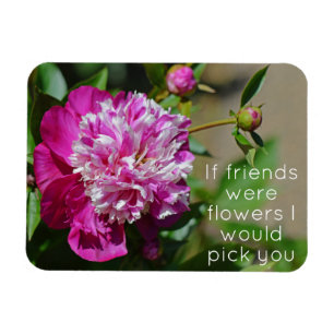 Magnet Flexible Cottage rose Peony Flower Friend