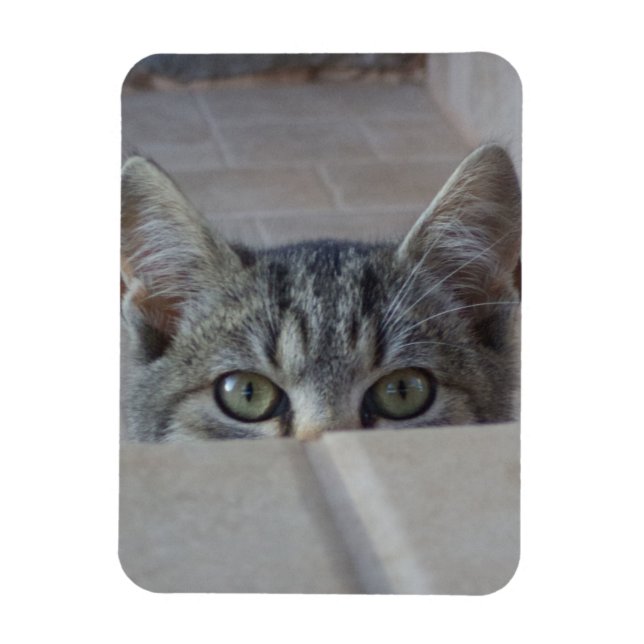 Magnet Flexible Coucou petit chaton (Vertical)